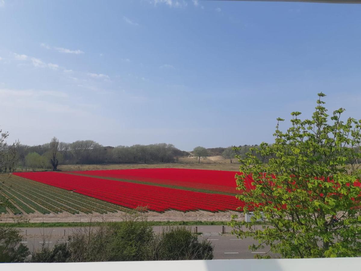 4T4 Apartment C Egmond aan den Hoef Εξωτερικό φωτογραφία